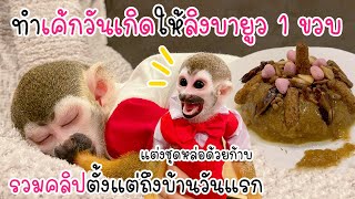 ทำเค้กวันเกิด 1 ขวบให้ลิงบายูว 🐵🎂 รวมคลิปบายูวตั้งแต่เด็ก✨