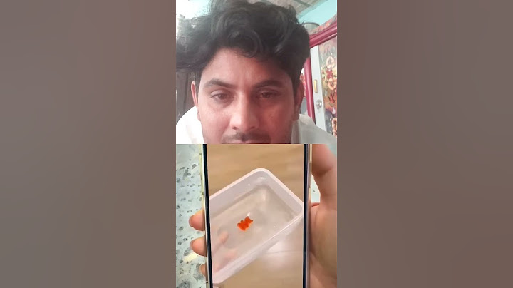 He FOUND MYSTERY inside the GUMMY BEAR funny#comedyvideo #shorts