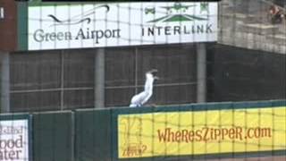 Jason Repko Goes Over The Wall For Amazing Grab (VIDEO)