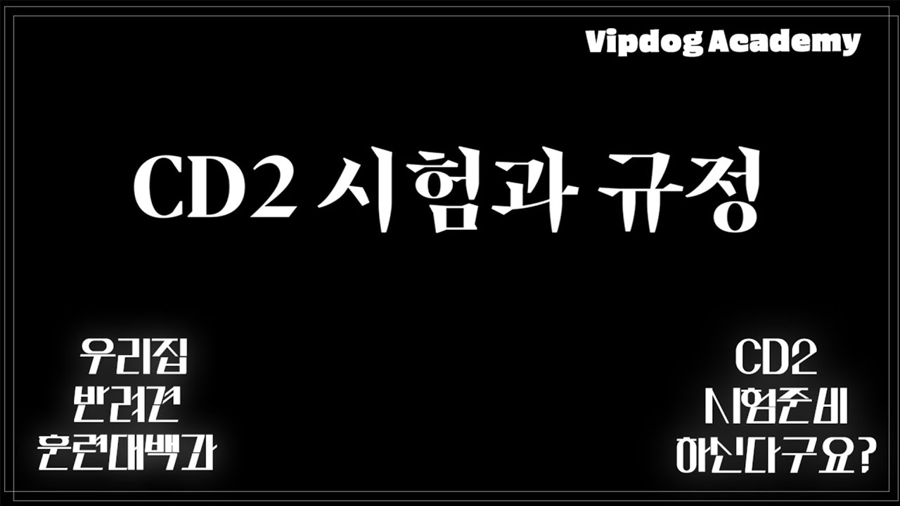 CD2 훈련시험 규정 !