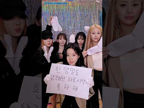 🎉흰 양말 신은 당신을 축하합니다🧦 #TimeToCelebrate #LE_SSERAFIM #르세라핌