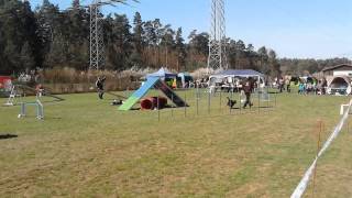 VID 20150419 ManeA3