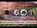 Jak upravit Borovicové šišky na 5 způsobů. DIY. Pine cones 5x differently.