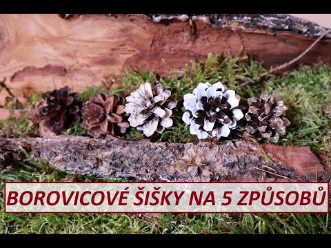 Video: Jak Vyrobit Neobvyklý Džem Z Borovicového šišky