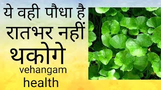 #Brahmi Buti, ये वही पौधा है रात भर नहीं थकोगे#Vehangam health.
