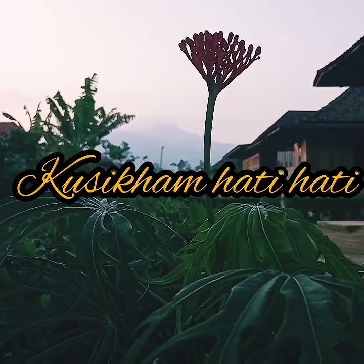 status viral!!lagu lampung!!status wa keren 2022ll