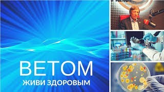 Ветом - Живи здоровым Ветом - Живи здоровым