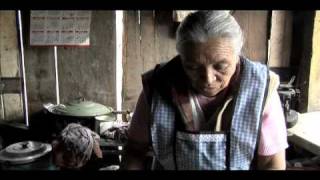 ZACACUAUTLA, Bosque mutilado 1/3