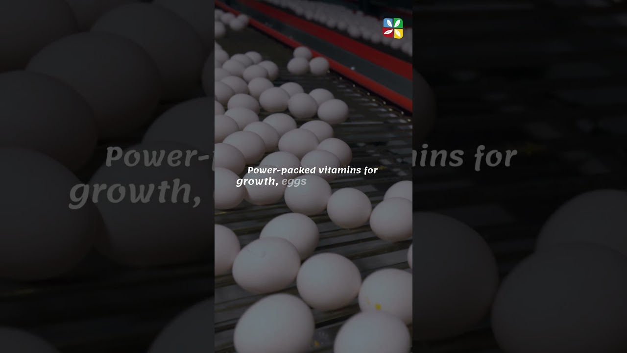 Boost Farm Profits with Healthy Animals | Shelter Pharma Solutions