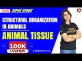 NEET Biology | Structural Organization in Animals - Animal Tissue | NEET Exam 2020 | Vedantu Biology