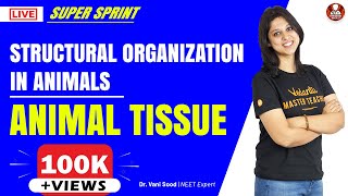 NEET Biology | Structural Organization in Animals - Animal Tissue | NEET Exam 2020 | Vedantu Biology