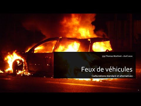 Vidéo: Peinture «danger D'incendie» - Vue Alternative