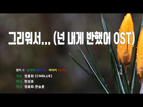 [은성 반주기] 그리워서... (넌내게반했어OST) - 정용화(CNBLUE)