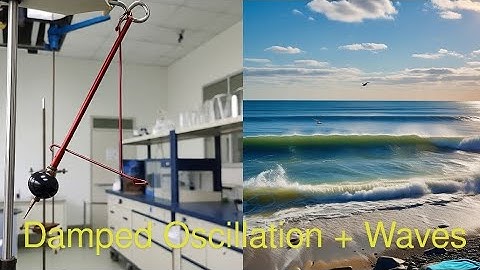 Physics 10th: Damped Oscillations and Waves | Urdu Medium Students