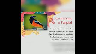 Símbolos Naturales de Venezuela Símbolos Naturales de Venezuela