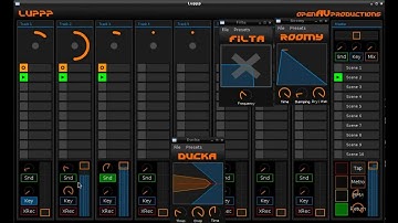 Luppp : NSM & ArtyFX Sidechaining
