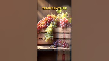 How much temperature is required for Grapes Export? #kdsushma #exportimport #grapesexport #farming