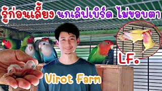 คนเลี้ยงสัตว์ EP.120​ รู้​ก่อน​เลี้ยง​ นกเลิฟเบิร์ด​ไม่ขอบตา​ LF.(Virot​ Farm)​ #นกแก้ว #lovebirds​​