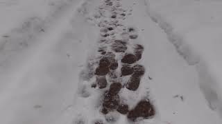 Use the Sun to Keep Sidewalks Clear of Ice