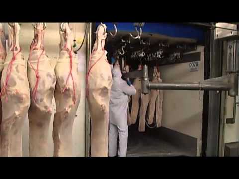 Video: Hoe Herken Je Kalfsvlees Van Rundvlees?