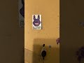 Comic-Con #fnaf #fivenightsatfreddys #diy #bonnie #costume #cosplay #cosplayer
