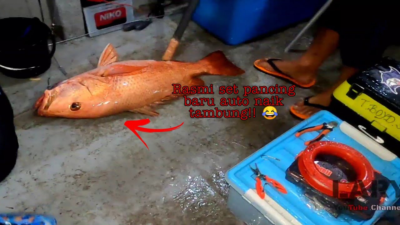 #19 DEEPSEA FISHING 4D3N CAPTAIN AFREN 7STAR 5 (PART 1)