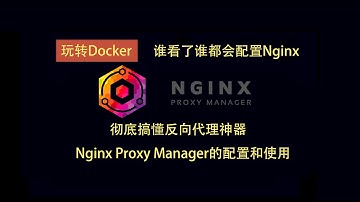 彻底搞懂反向代理神器Nginx Proxy Manager的配置和使用，一键配置反向代理、重定向、SSL、Nginx认证、404等，谁看了谁都会配置Nginx