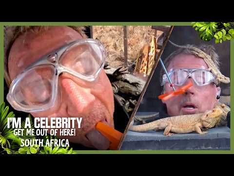 Harry Redknapp's FINAL Bushtucker Trial in Headboxes of Hell | I'm A Celebrity... South Africa 2026