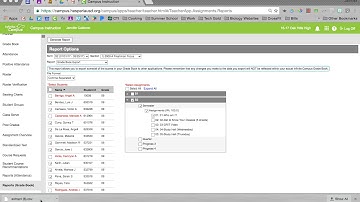 Infinite Campus: Reports (Gradebook) Excel Sheet