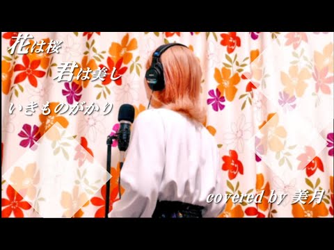 花は桜 君は美し/いきものがかり 歌ってみた（covered by 美月）