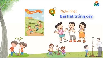 Giáo án powerpoint Tuần 3 | GA điện tử Hoạt động trải nghiệm 4 Cánh diều