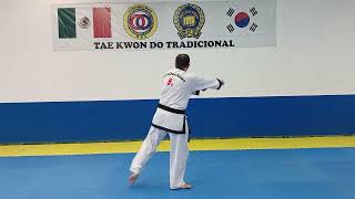 kicho 2 Idan #poomsae #taekwondo #taekwondotradicional #mdk #mdkdelbosquezamora