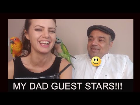 My Dad Tells Some Stories About Our Cockatoo Duffy |STORY TIME SUNDAY My Dad Tells Some Stories About Our Cockatoo Duffy |STORY TIME SUNDAY