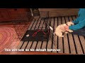 Crate Training with a Havanese