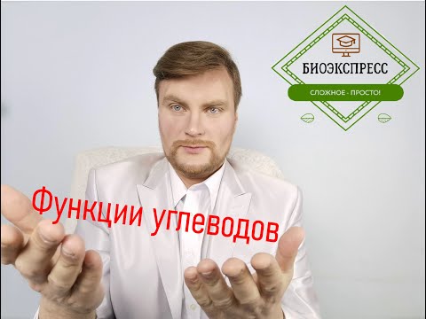 Функции углеводов. ЕГЭ Биология. ЕГЭ 2021.