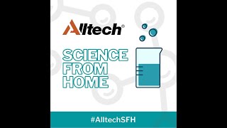 Science From Home: How to check bacteria growth in your home