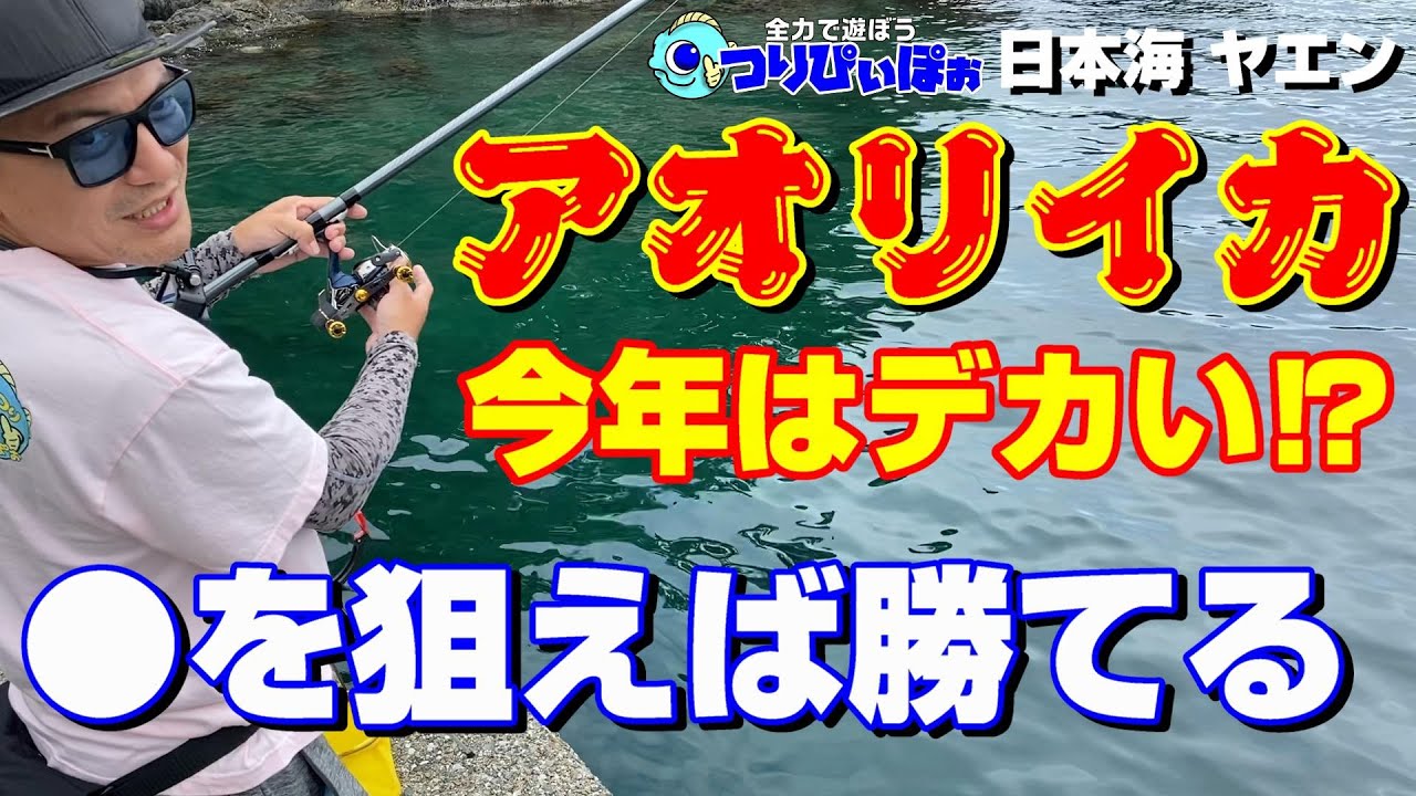 日本海 ヤエン】初場所はココを狙え！迷った時にやってみてください