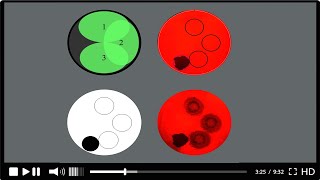 HERZOG Prepmaster: SparkPoint Module