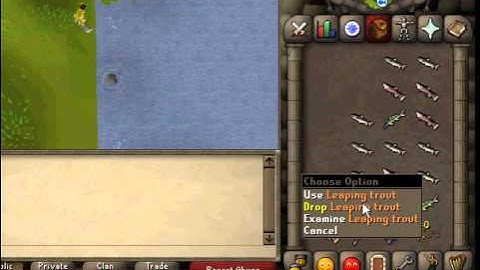 07scape - dropping with mousekeys