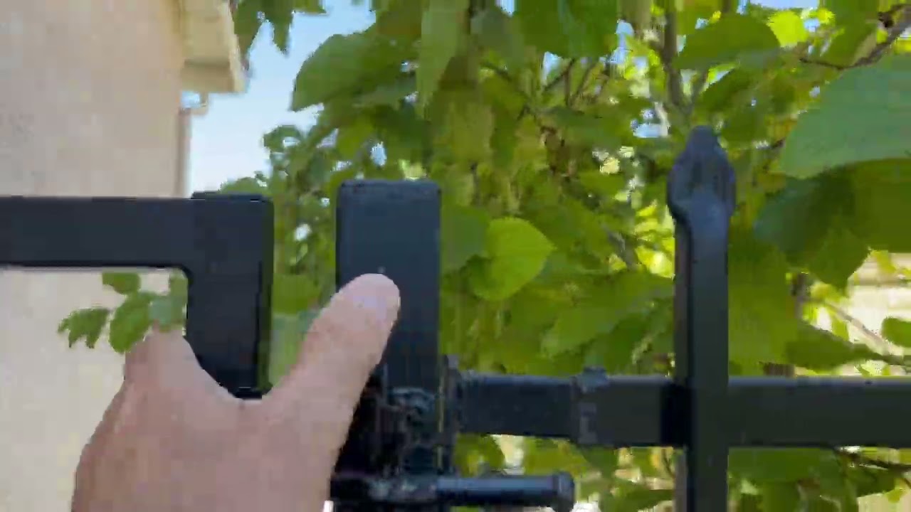 My house driveway front yard and backyard Aug 18/2025