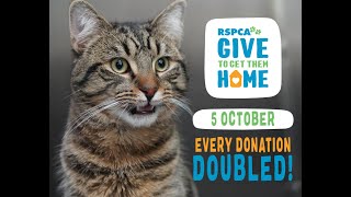 RSPCA ACT Give to Get Them Home 2023