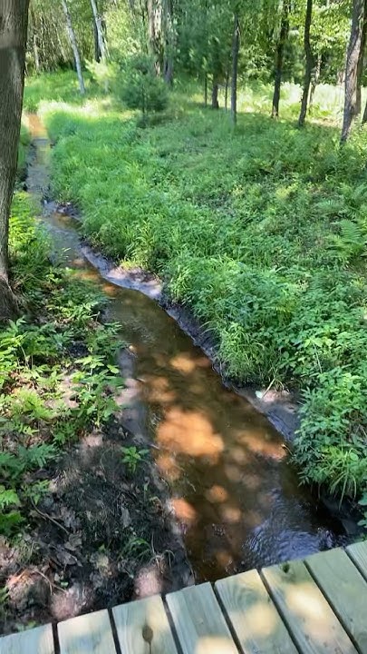 В саду весеннем,у реки пусть распускаются цветы 🌺,у меня не река,ручеек ...