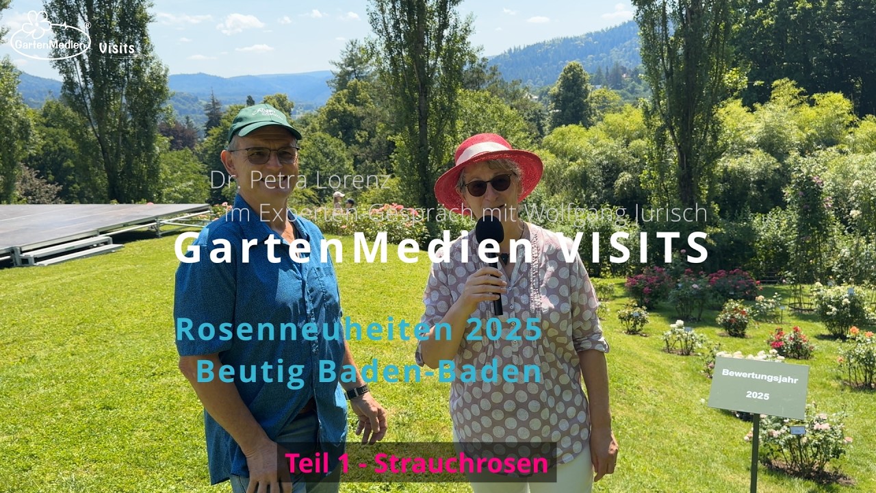 GartenMedien Visits - 