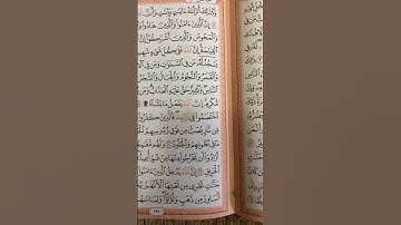 تلاوة تعليمية القرآن الكريم ماتيسر من  قرآن بصوت جديد يريح القلب 🫀🕌💐🌹