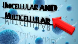 Unicellular and Multicellular organisms (Cells part 4)