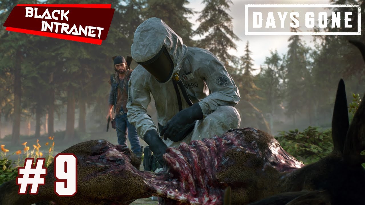 СЕКРЕТНОЕ ОРУЖИЕ В DAYS GONE (2019) | ЖИЗНЬ ПОСЛЕ | ПАРОЛЬ ОТ СЕЙФА | DAY # 9