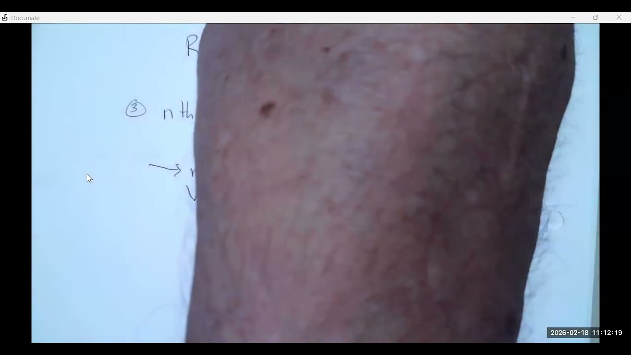 MATH 2412 - CH 4 SEC 1 - Polynomial Funcitons