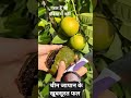 विदेशी# अजीब तरह के फल#