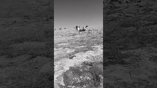 2022 Fotoğraf I Ishak 68 Ay