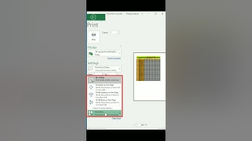 Excel Trick:Print excel sheet on one page.
